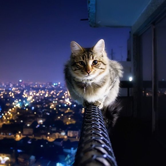 Meet your Posher, Lori - Picture 2 of 4